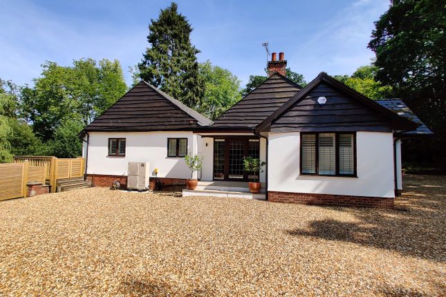 Beechwood Lane, Burley, Ringwood, BH24 3 bed detached bungalow for sale