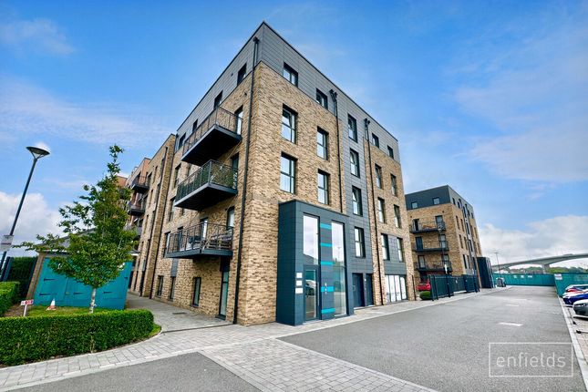 1 bed flat