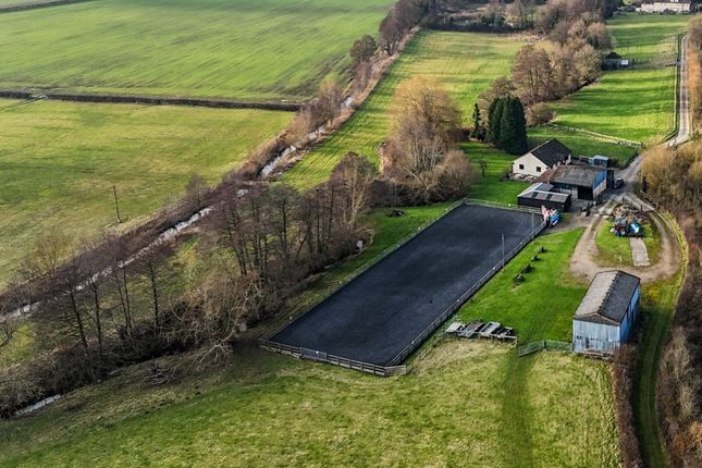 Equestrian facility for sale