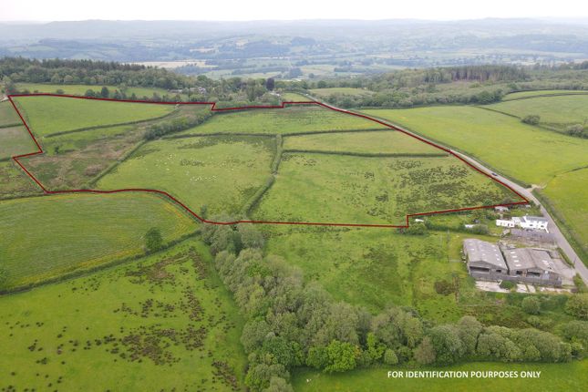 Golden Grove, Carmarthen, SA32 Smallholding for sale