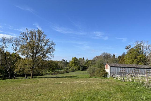 Land and Stables at Mill lane, Steep Land for sale