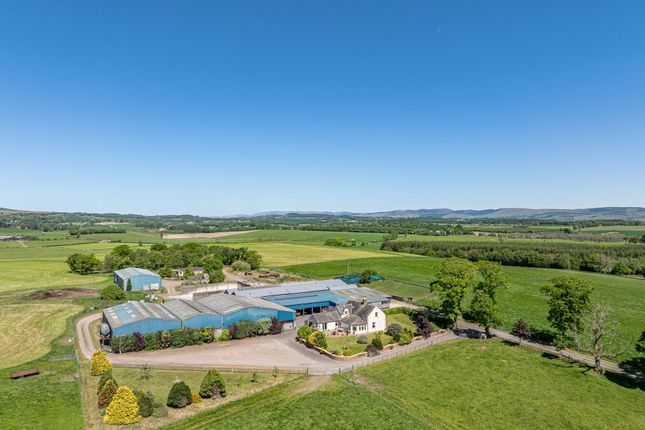 Lot 3 Gillrigg, Lochmaben, Lockerbie... Farm land for sale