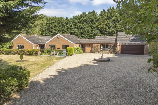 Woodside View, Staunton In The Vale 4 bed detached bungalow for sale