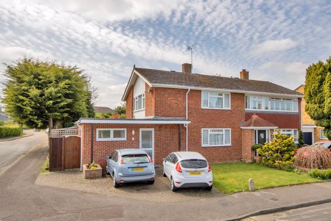 Larch Grove, Paddock Wood TN12 4 bed semi