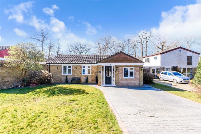 3 bed detached bungalow