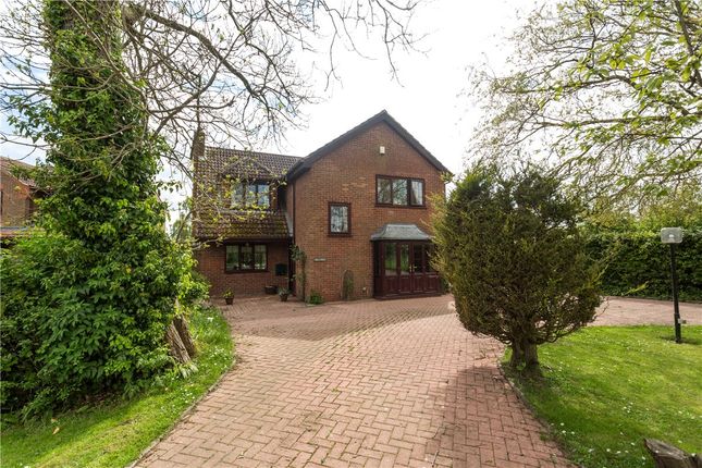 Hill View, Cornborough Road, Sheriff... 4 bed detached house for sale