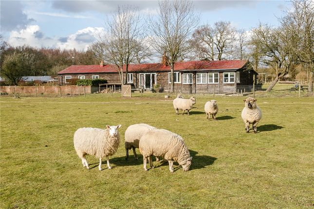 Oakley Wood, Benson, Wallingford... 5 bed property with land for sale