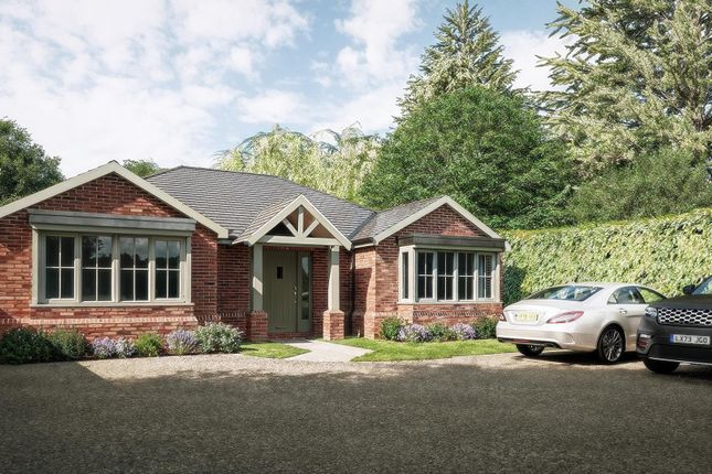 Plot for sale