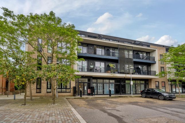 1 bed flat