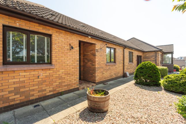 The Grange, Ballymena BT42 2 bed terraced bungalow for sale
