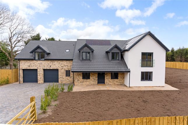 Brockley Nurseries, Brockley, North... 5 bed detached house for sale