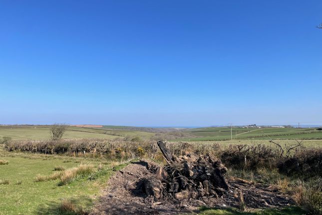 Plot for sale