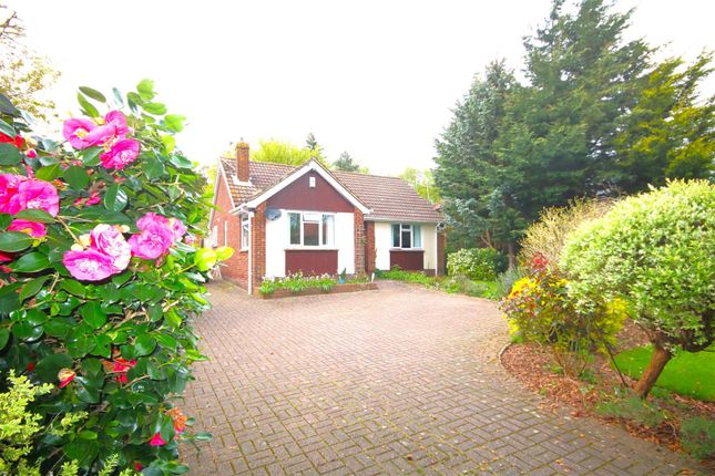 Bagham Cross, Chilham, Canterbury 2 bed detached bungalow for sale
