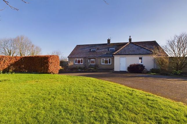 Owl Street, East Lambrook, Near South... 4 bed bungalow for sale