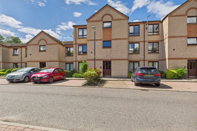 1 bed flat