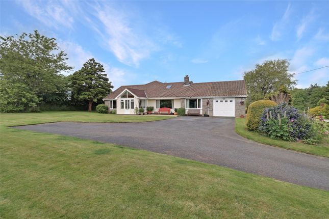 Lovacott, Newton Tracey, Barnstaple... 6 bed bungalow for sale