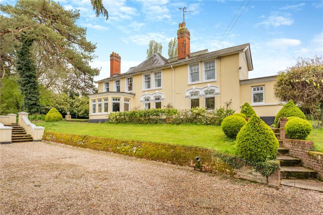 High Street, Bildeston, Ipswich, IP7 7 bed detached house for sale