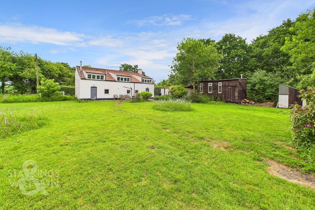 Low Road, Norwich NR14 4 bed detached house for sale