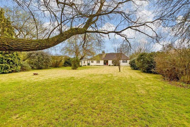 4 bedroom detached bungalow for sale
