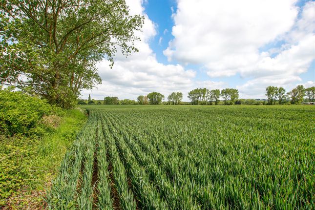 Farm land for sale