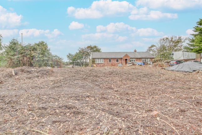 2 bed detached bungalow