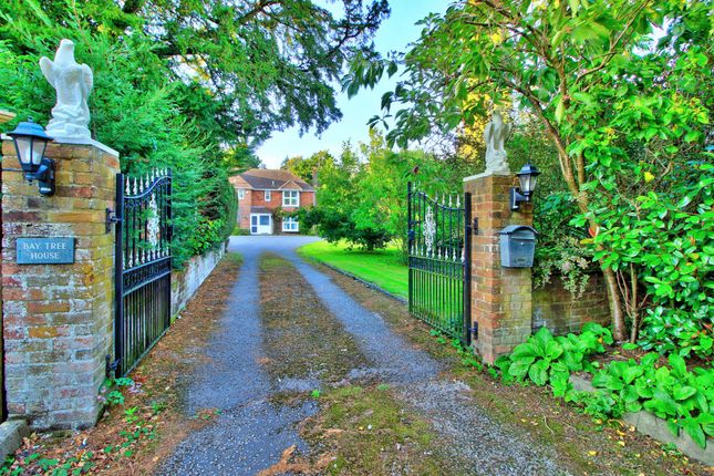Chawton, Alton GU34 4 bed detached house for sale
