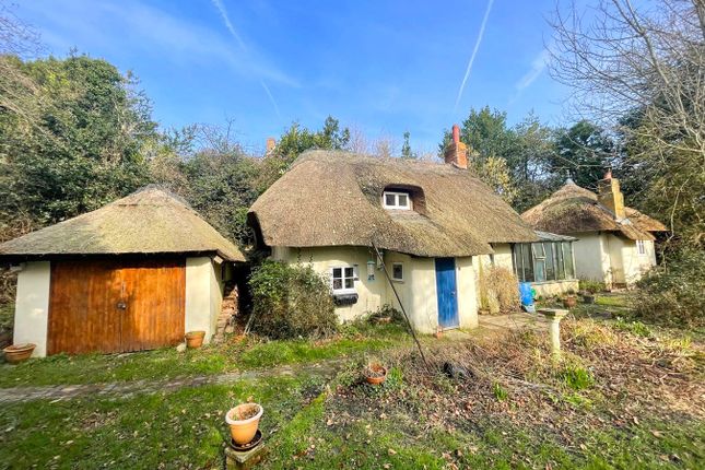 Brook Hill, Norley Wood, Lymington, SO41 2 bed detached house for sale