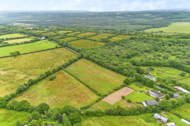 Equestrian facility for sale