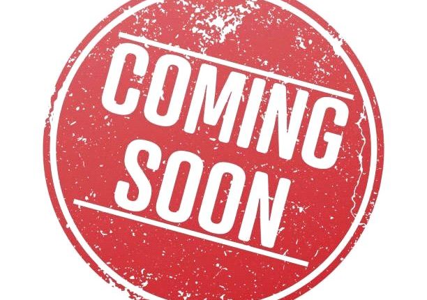 3 bed terraced house