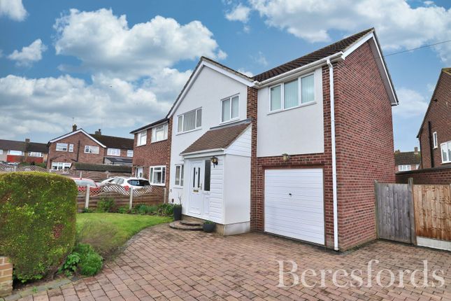 Larch Grove, Chelmsford, CM2 4 bed semi