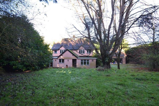 Hamels Lane, Westmill, Buntingford 3 bed house for sale