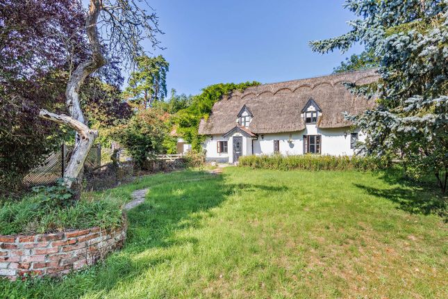Fen Road, Blo Norton, Diss, IP22 5 bed detached house for sale