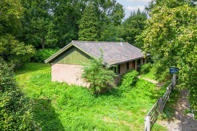 Haywards Heath Road, North Chailey 3 bed bungalow for sale