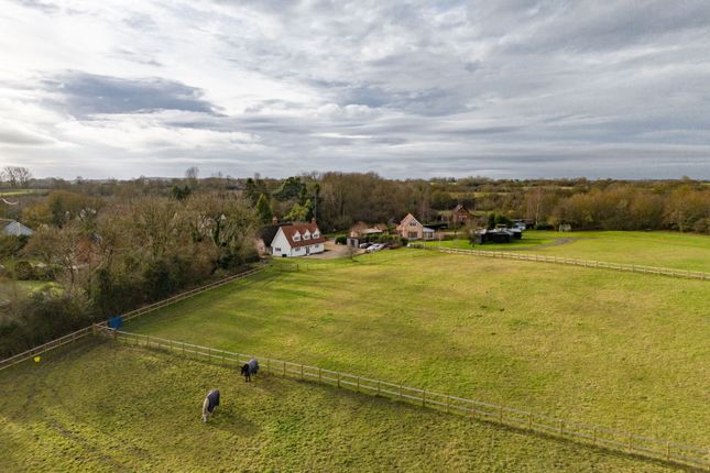 Erratts Hill, Newmarket CB8 4 bed equestrian property for sale