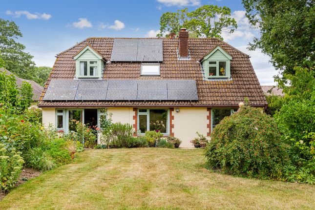 Withen Lane, Farringdon 4 bed detached house for sale