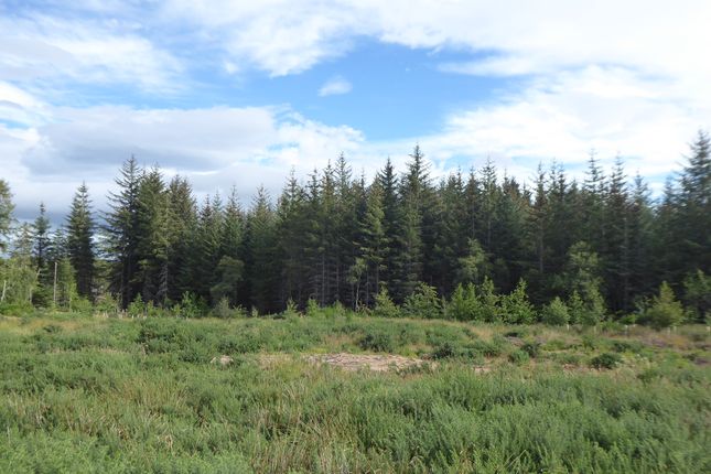 Plot for sale