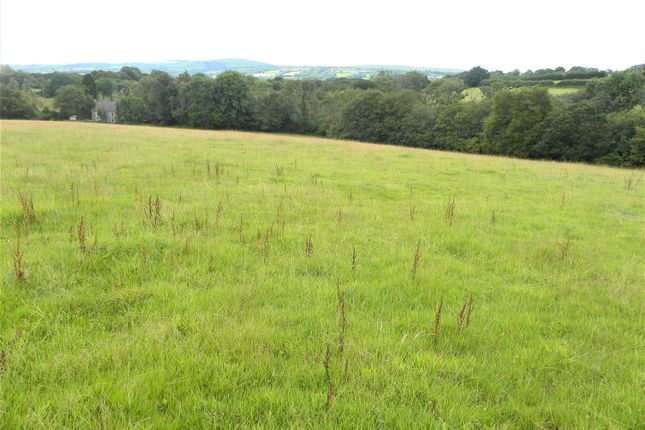 7 Acres at Aberbanc, Llandysul Farm land for sale