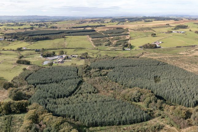 West Glenouther & Whitelee... Land for sale