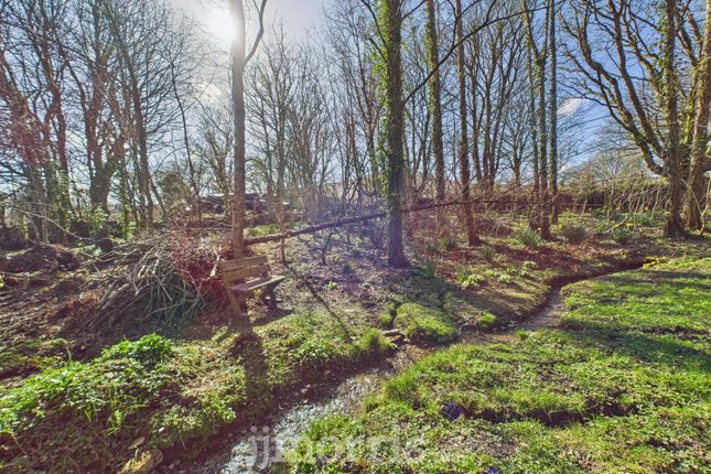 The Grove (Woodland), Cilgwyn Road... Land for sale