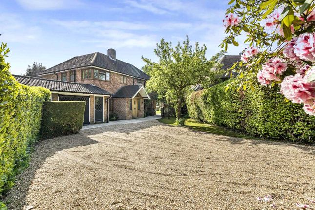 Dukes Road, Lindfield, Haywards... 5 bed detached house for sale