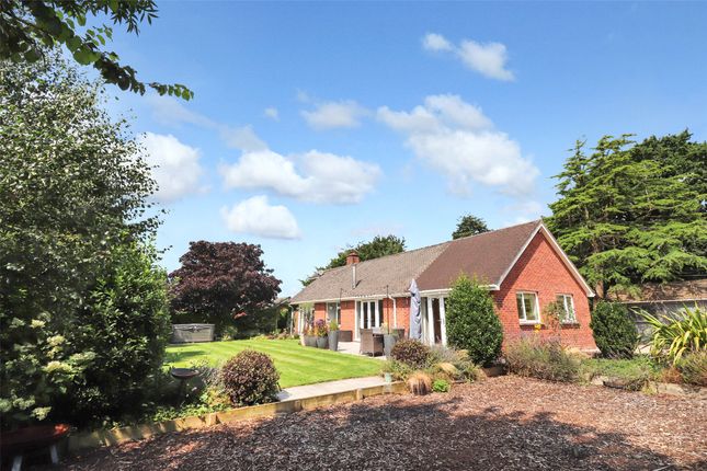 Nadder Lane, South Molton, Devon, EX36 4 bed bungalow for sale