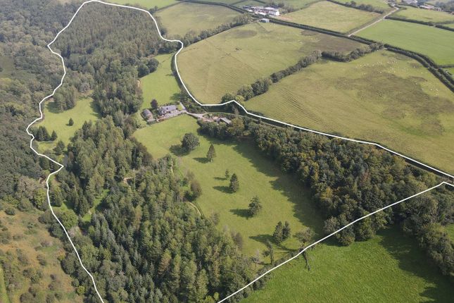 Trawsmawr, Carmarthen, SA33 5 bed property with land for sale