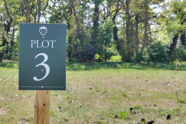 Strawberry Fields, Narford Road... Plot for sale