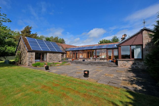 3 bedroom smallholding for sale