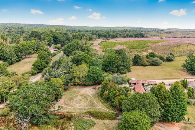 Linford Road, Shobley, Ringwood, BH24 Bungalow for sale