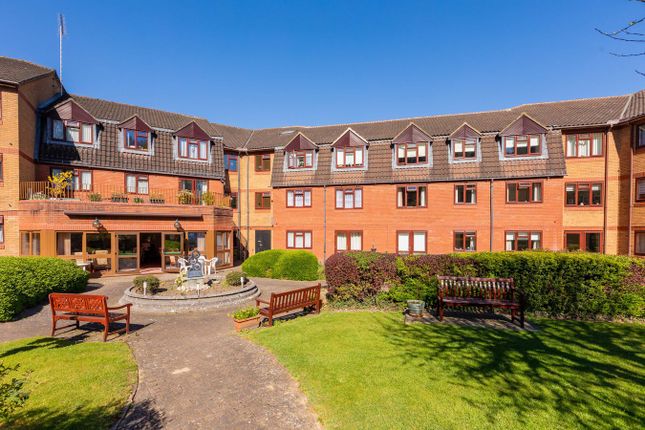 1 bed flat