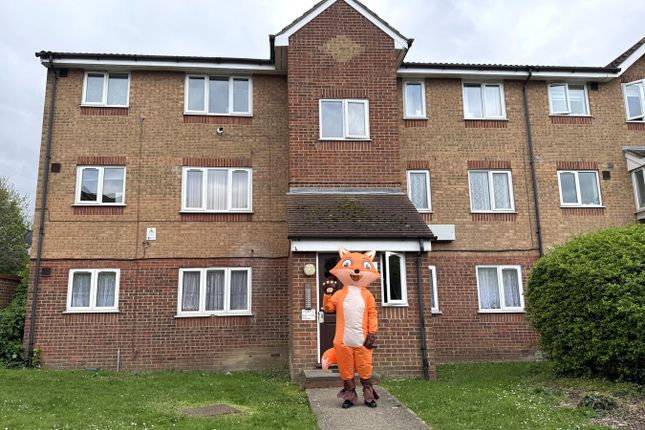 1 bed flat
