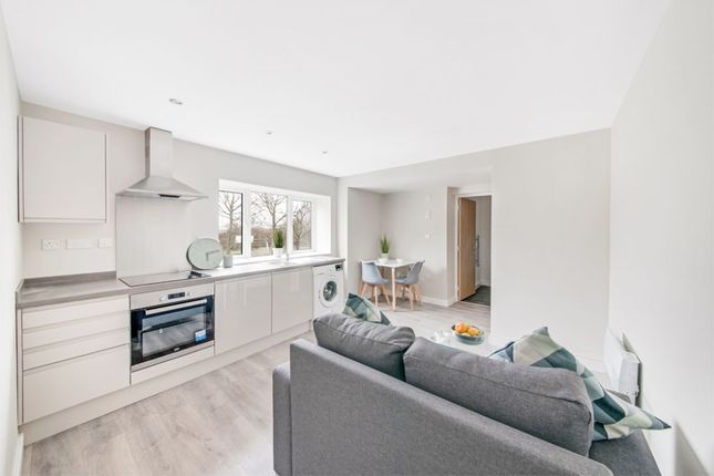 1 bed flat