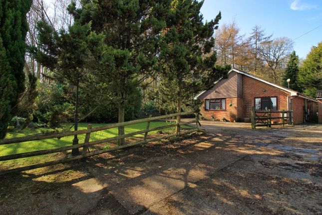 Gravesend Road, Wrotham TN15 3 bed detached bungalow for sale