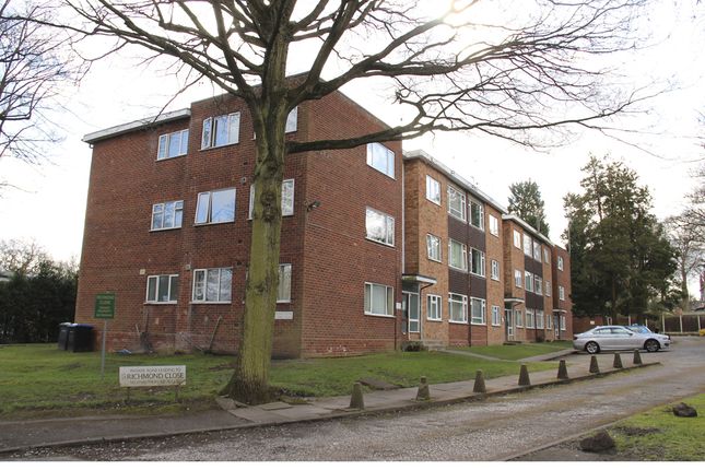 1 bed flat